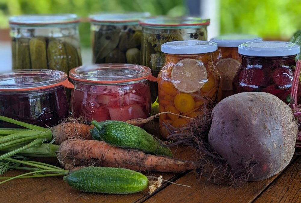 Gurken einkochen 2025