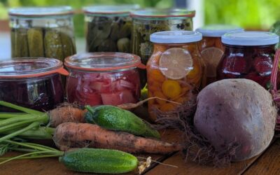 Gurken einkochen 2025