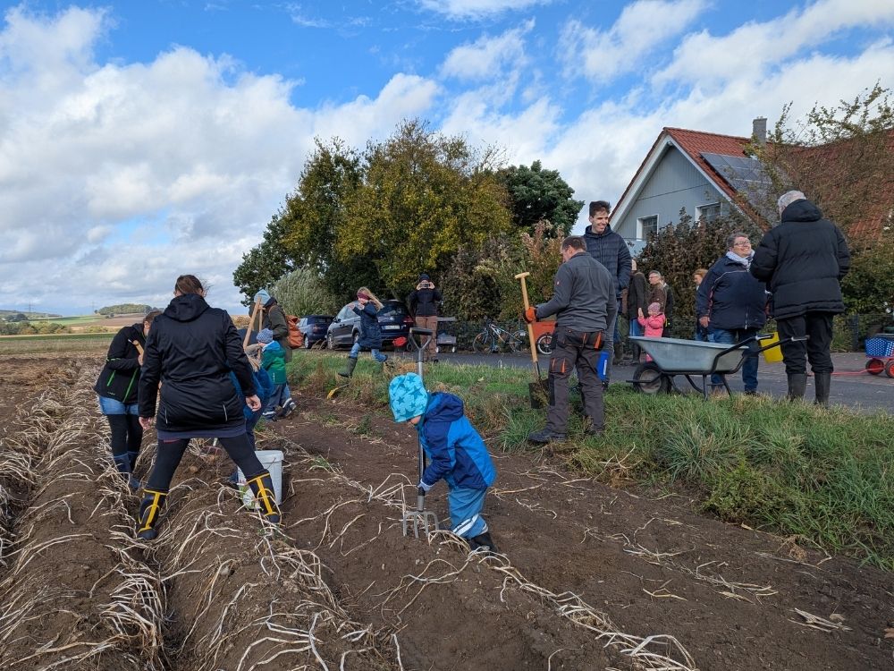 Kartoffelernte2025_2