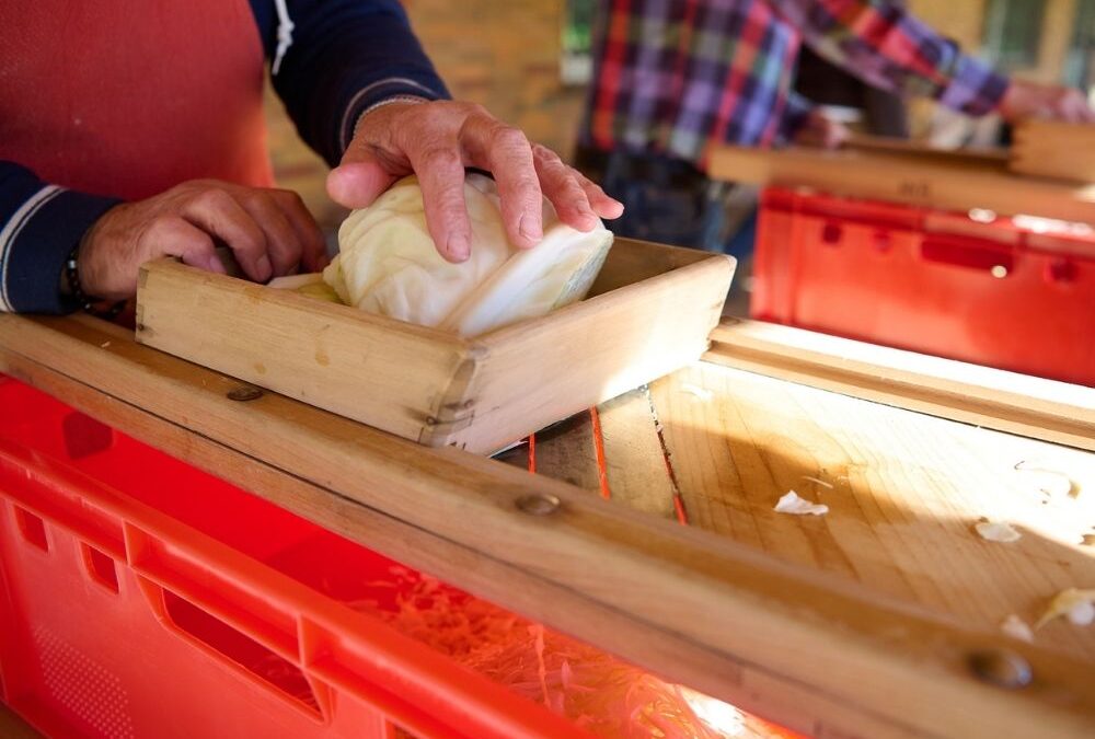 Wir machen Sauerkraut – 2025