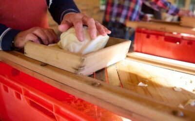 Wir machen Sauerkraut – 2025